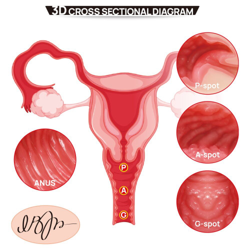 Мастурбатор Kokos 004 Vailla ONAHOLE Real Vagina