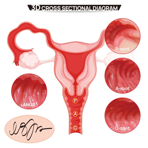 Мастурбатор Kokos 004 Vailla ONAHOLE Real Hips