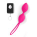 Вагинальные шарики Dorcel Divine Balls, диаметр 3,5 см, масса 91г - Фото №1