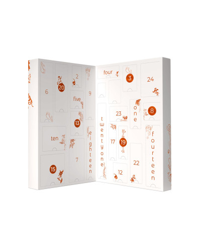 Календар секс-сюрпризів Adrien Lastic Advent Calendar 2022 CHRISTMAS DESIRES, 24 подарунки - Фото №2