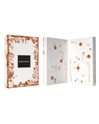 Календар секс-сюрпризів Adrien Lastic Advent Calendar 2022 CHRISTMAS DESIRES, 24 подарунки - Фото №3