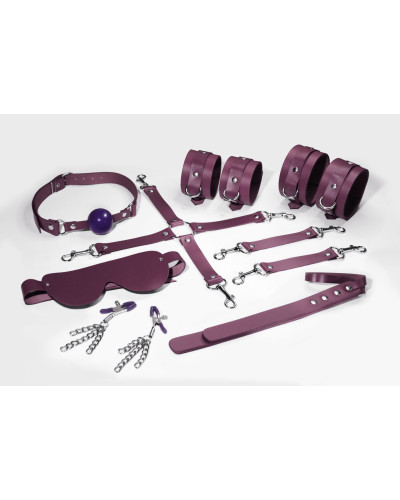 Набор Feral Feelings BDSM Kit 7 Burgundy, наручники, поножи, коннектор, маска, паддл, кляп, зажимы - Фото №1