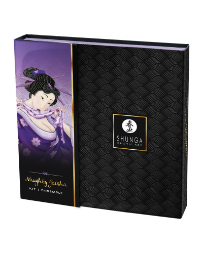 Подарунковий набір Shunga NAUGHTY GEISHA: невичерпне джерело збудження - Фото №8