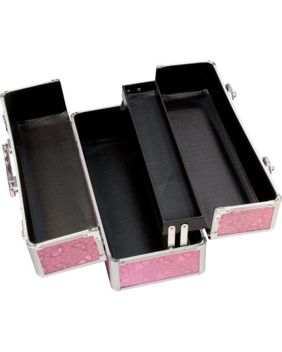 Великий кейс для зберігання секс-іграшок BMS Factory Large Lokable Vibrator Case Pink, кодовий замок - Фото №5