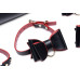 Набор БДСМ с дорожной сумкой Master Series: Bow — Luxury BDSM Set With Travel Bag, 11 предметов - Фото №7