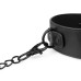 Набор для BDSM Bedroom Fantasies: Master & Slave Total Restraint Set - Фото №5