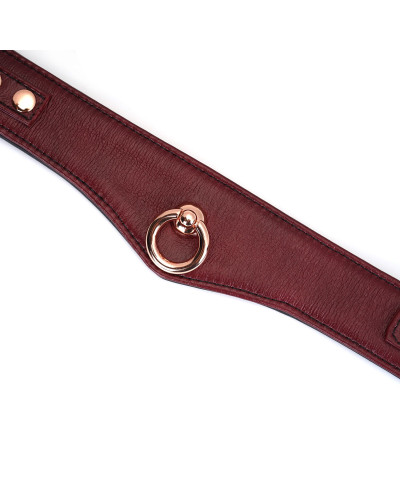 Шкіряний нашийник з повідцем Liebe Seele Wine Red Curved Collar, замок-сердечко - Фото №8