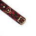 Нашийник з повідцем Liebe Seele Victorian Garden Collar with Leash - Фото №6