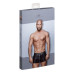 Мужские шорты Noir Handmade H006 Men shorts, XXL, с мокрым эффектом - Фото №5
