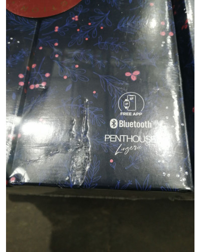 Подарунковий набір Satisfyer Premium Advent Calendar 2024 (м'ята упаковка!!!) - Фото №2