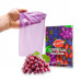 Латексна серветка Latex Dental Dams Grape 1 шт - Фото №1